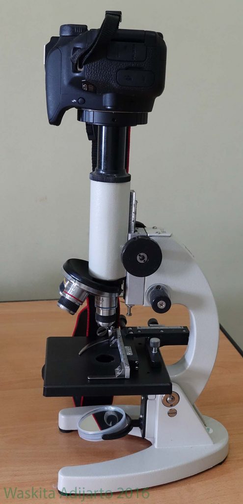 Mikroskop dengan kamera